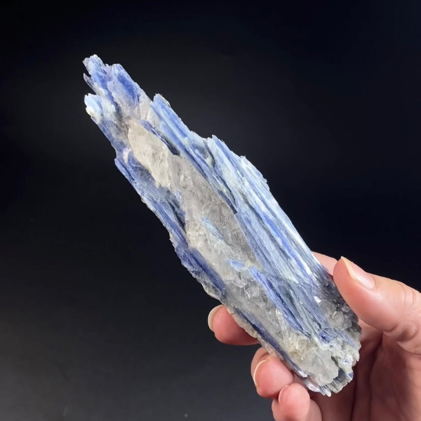 Blue Kyanite and Quartz Specimen from Minas Gerais, Brazil