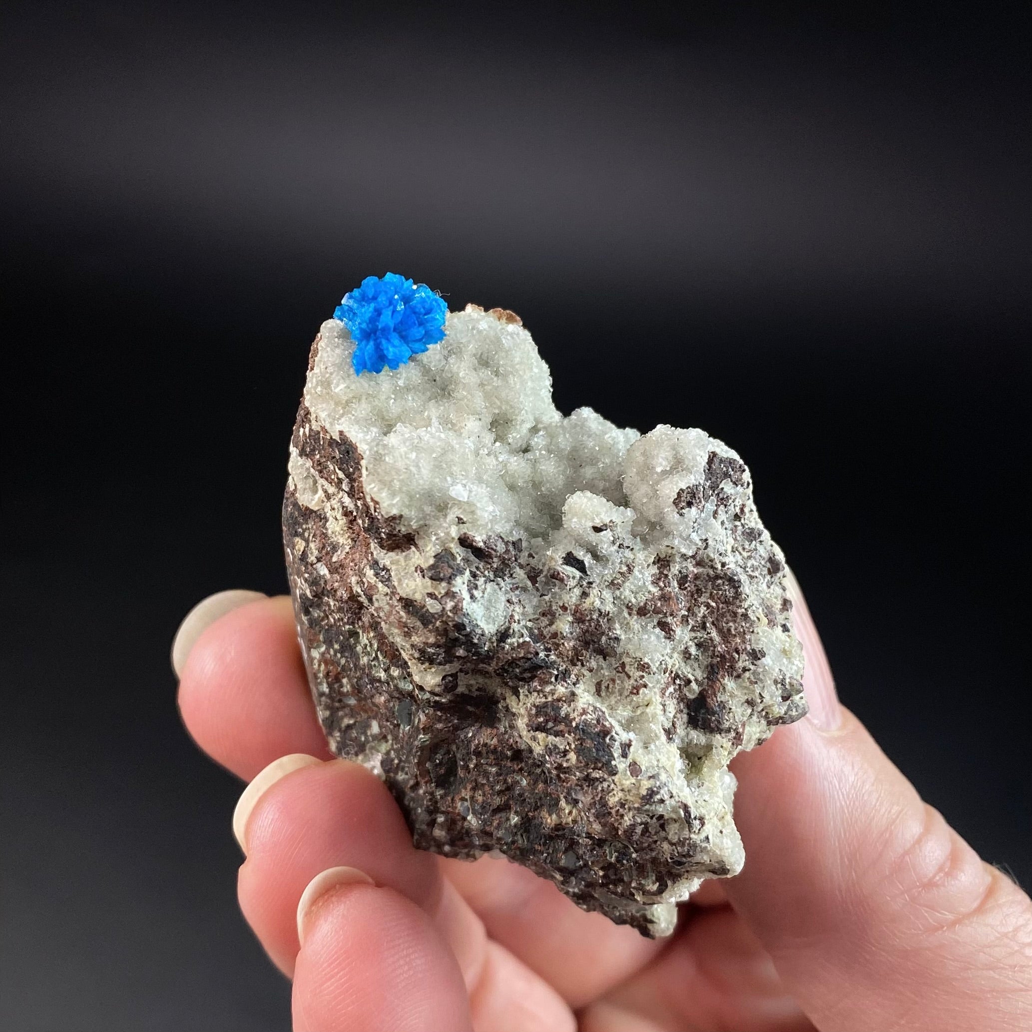 Vibrant Blue Cavansite Cluster on Druzy Stilbite & Basalt Matrix