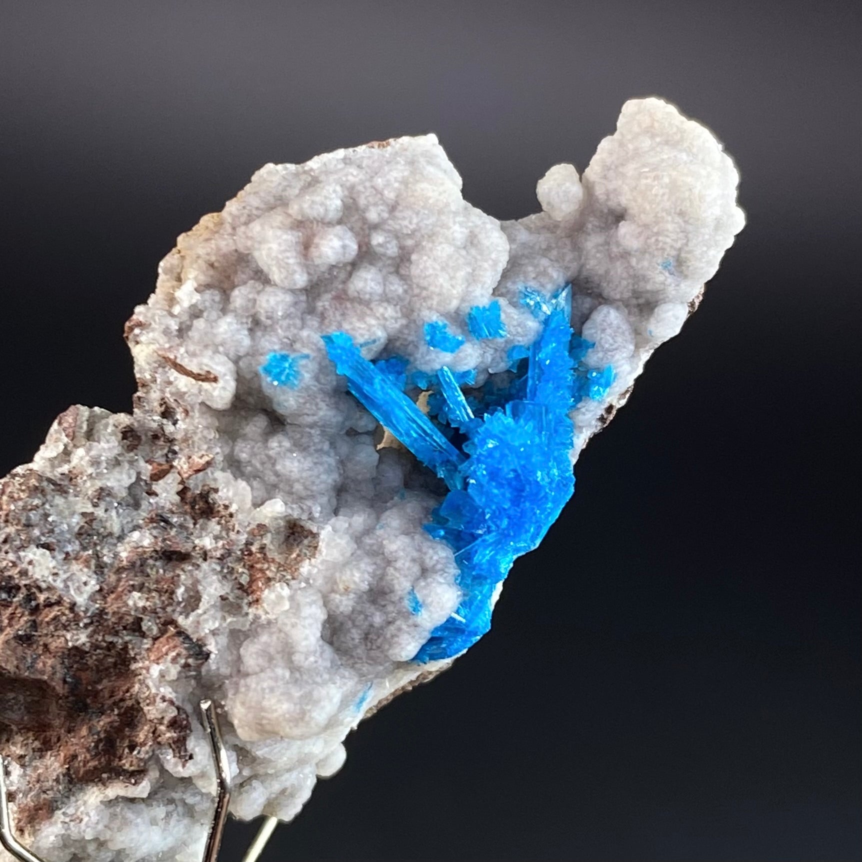 Vibrant Blue Pentagonite Cluster on Druzy Stilbite & Basalt Matrix