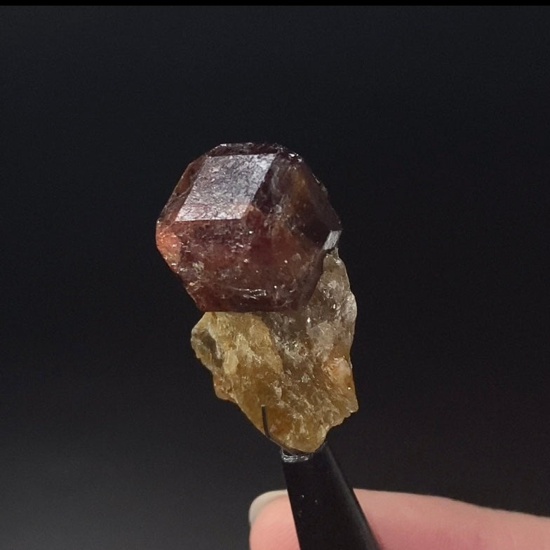Garnet Crystal on Mica