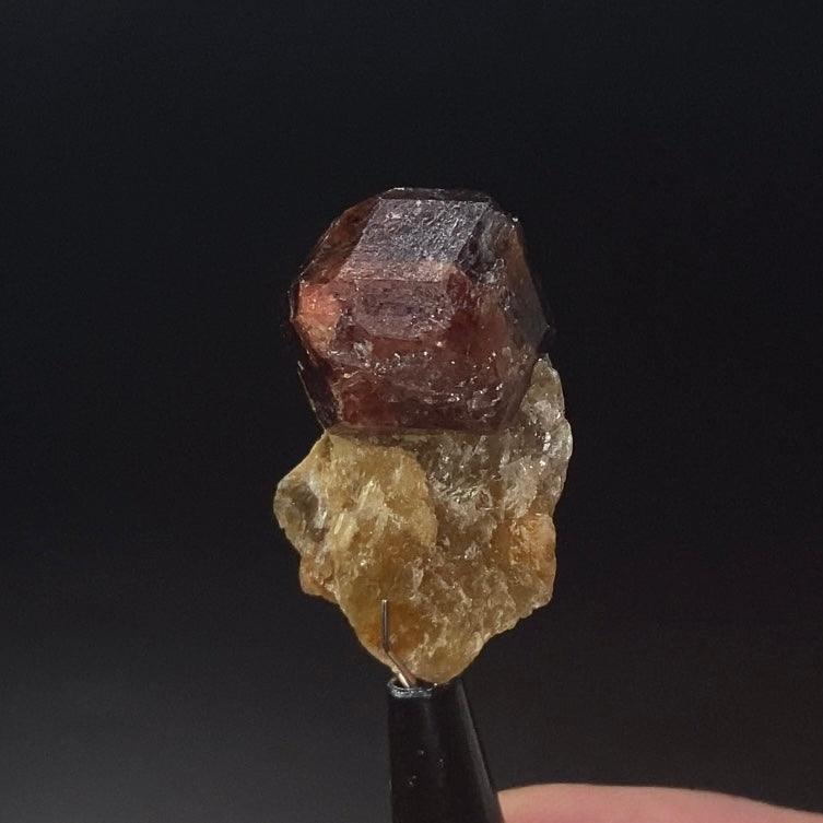 Garnet Crystal on Mica