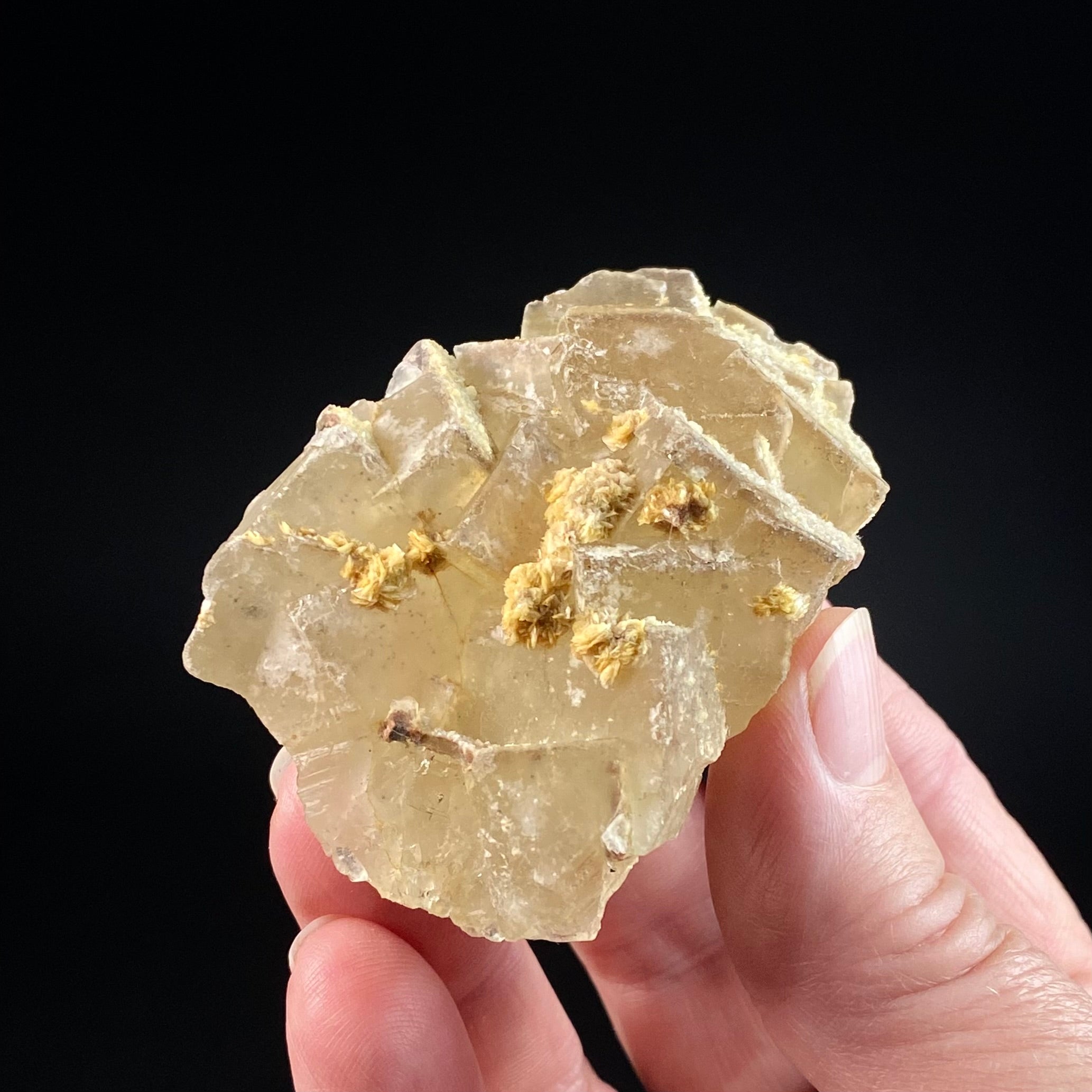 Yellow Cubic Fluorite Cluster with Barite, El Hammam Mine