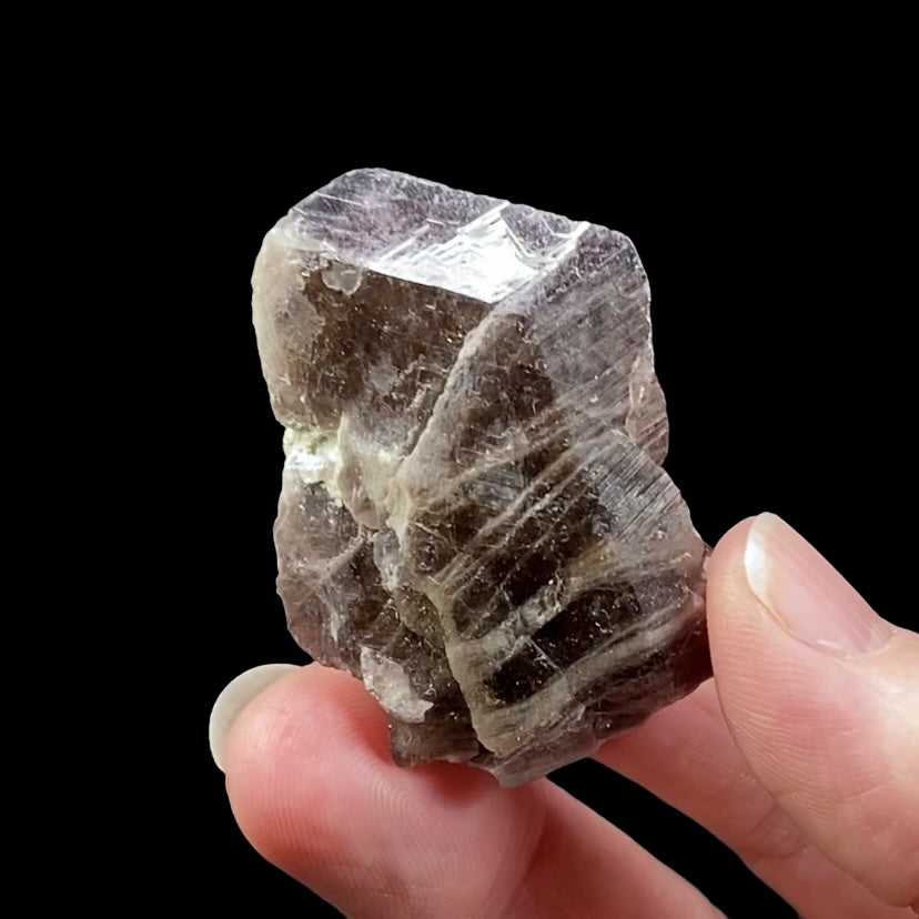 Axinite Crystal with Quartz from Shigar Valley, Gilgit-Baltistan, Pakistan