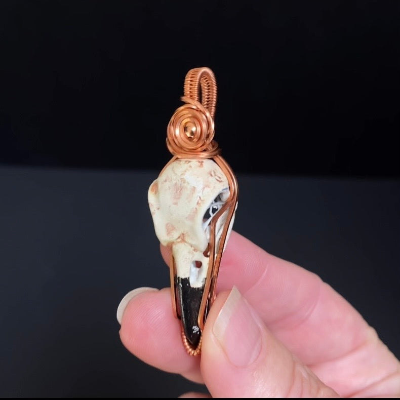 Resin Raven Skull & Spiral Copper Wire Wrapped Pendant