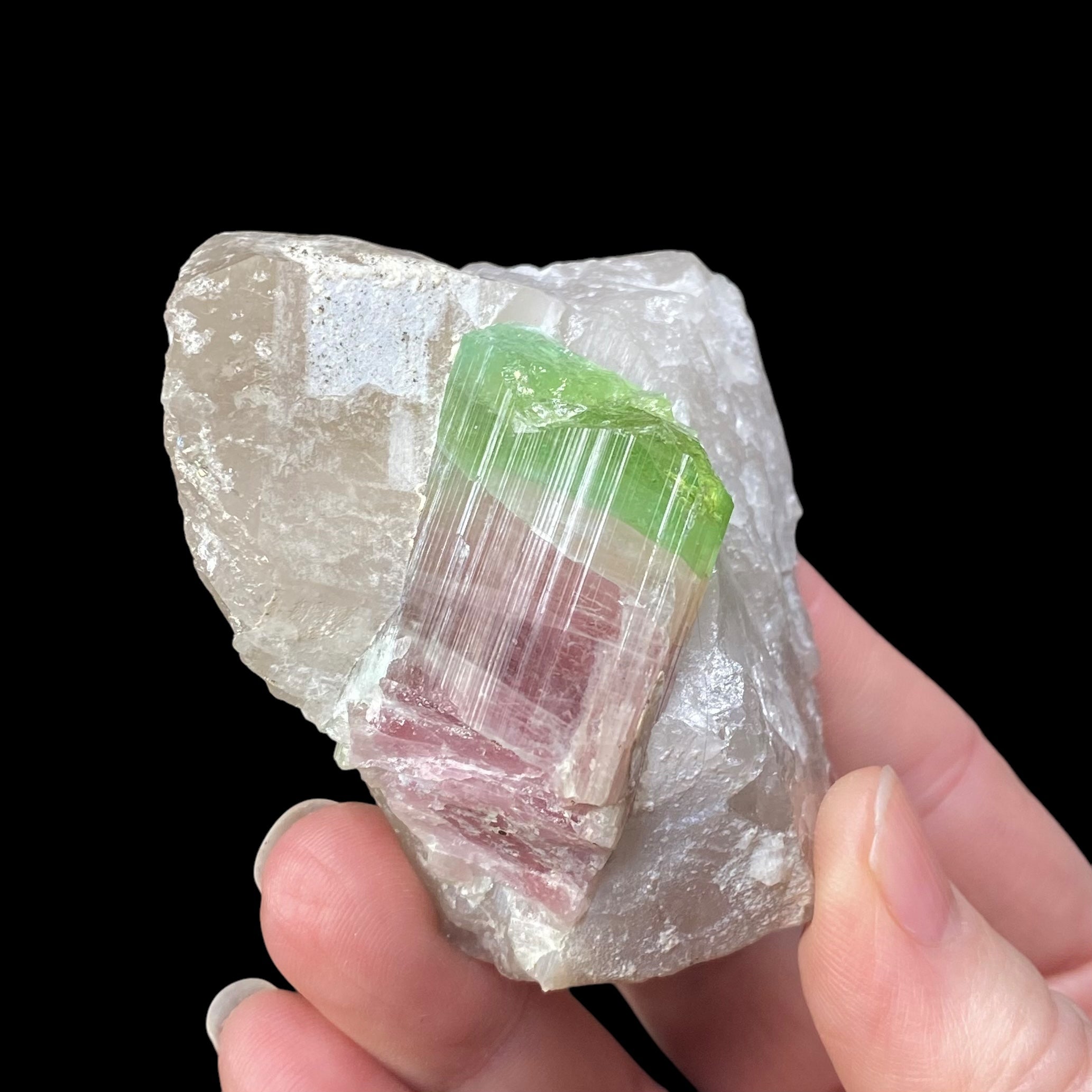 Large Bi Color Pink & Green Tourmaline with Smoky Quartz