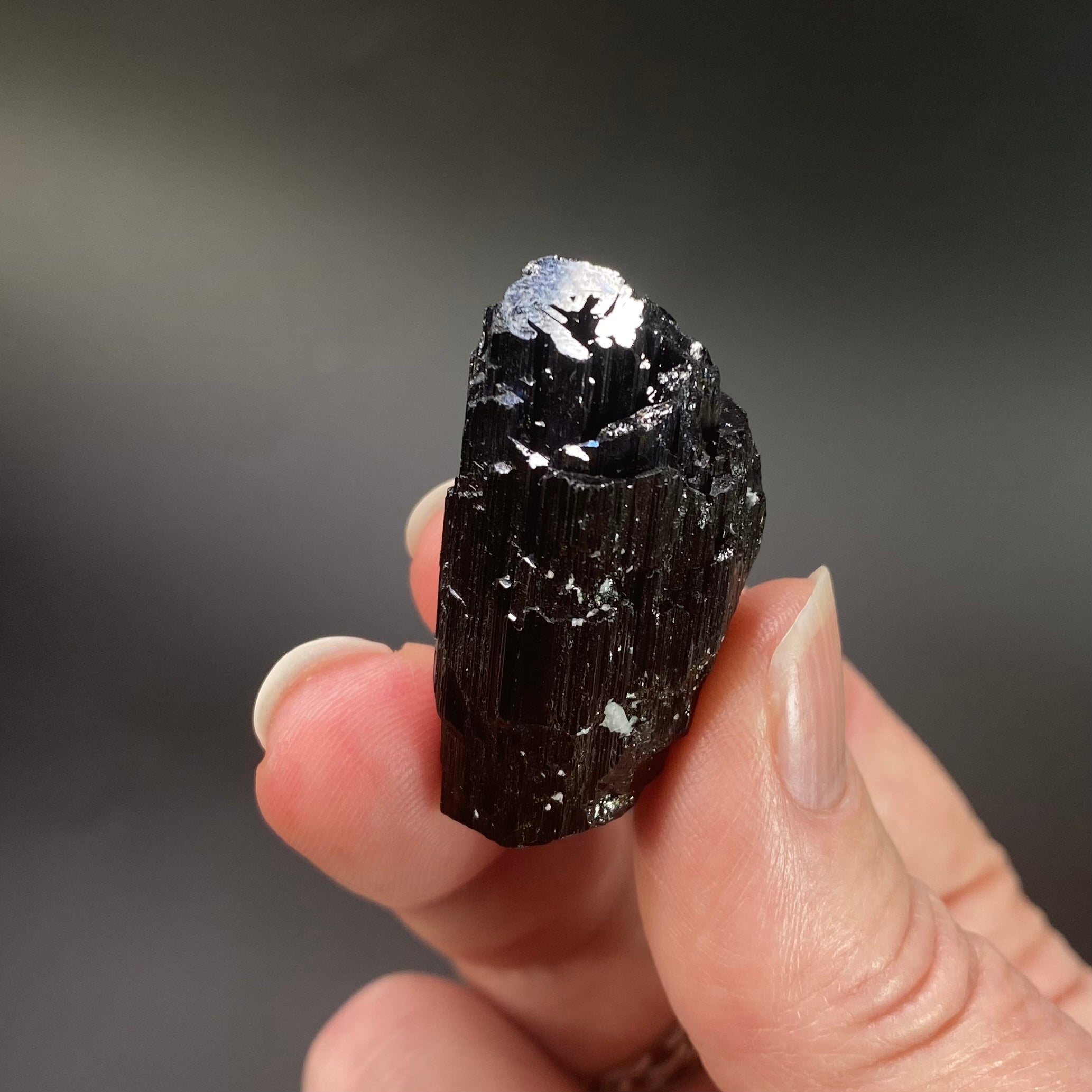 Etched Black Tourmaline Schorl with Mica