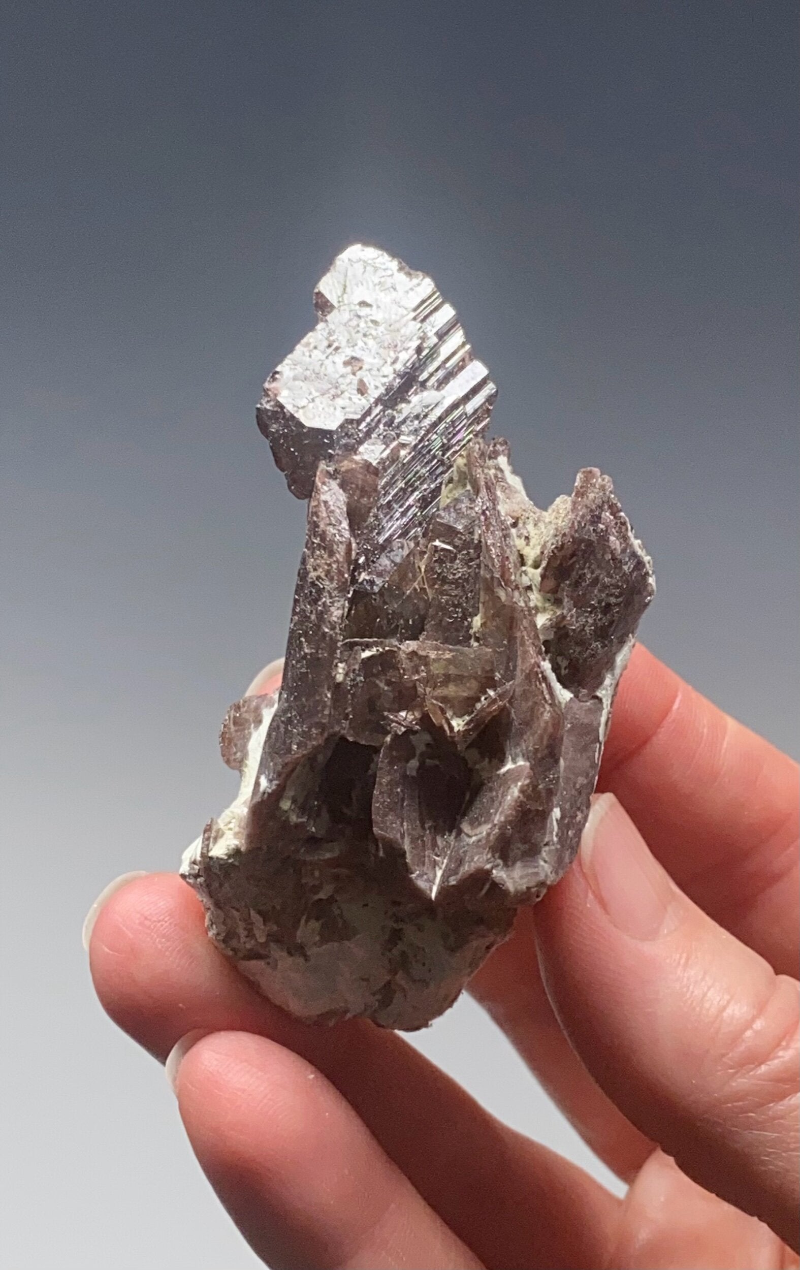 Axinite Crystal Cluster from Shigar Valley, Gilgit-Baltistan, Pakistan