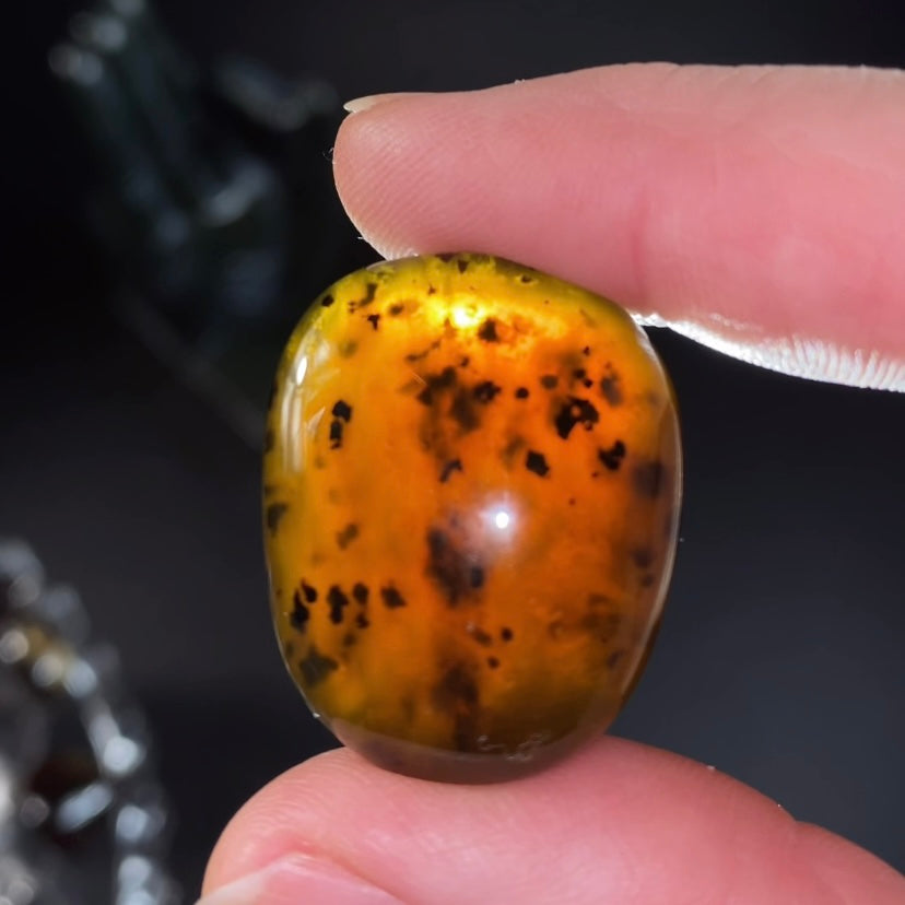 High Grade Honey Brown Sumatran Amber Tumbled Stone