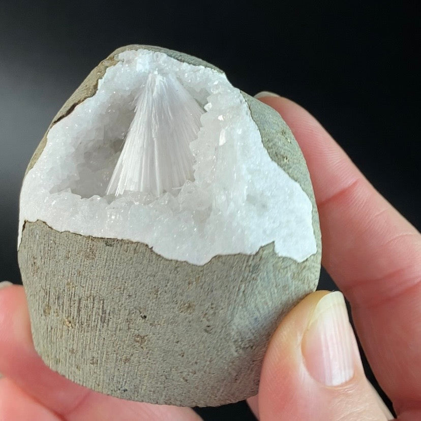 Scolecite with Apophyllite & Stilbite in Trimmed Basalt Geode Pocket