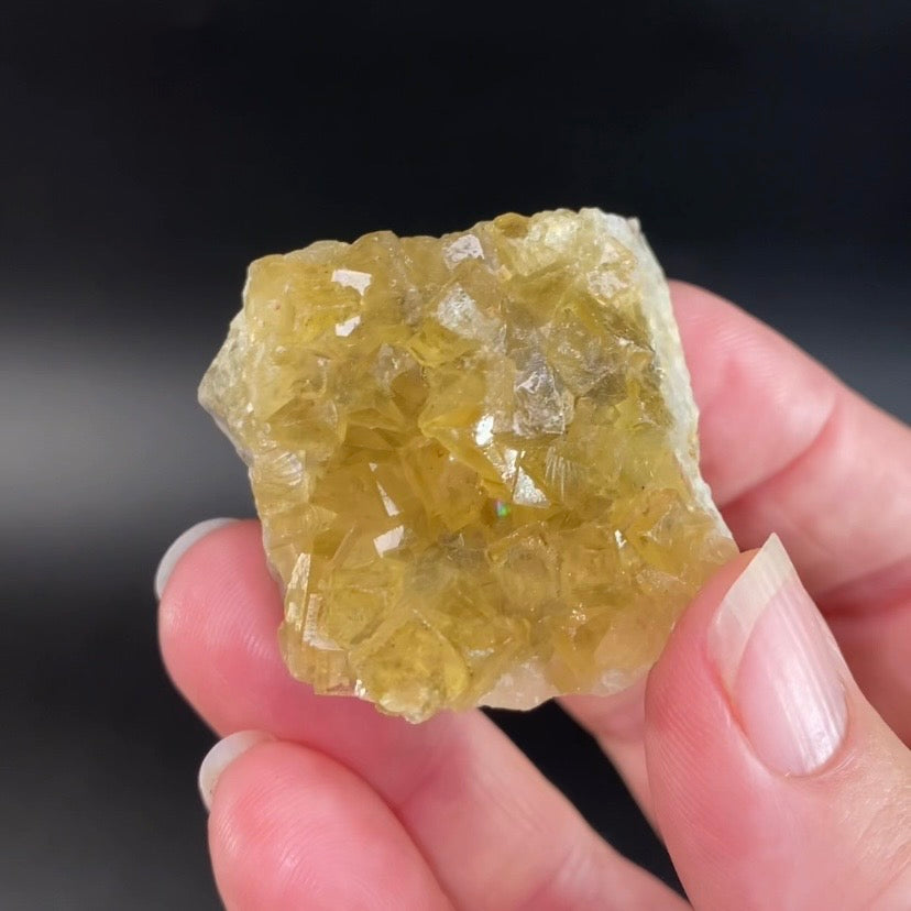 Yellow Moscona Cubic Fluorite Cluster from Asturias Spain - Phosphorescent