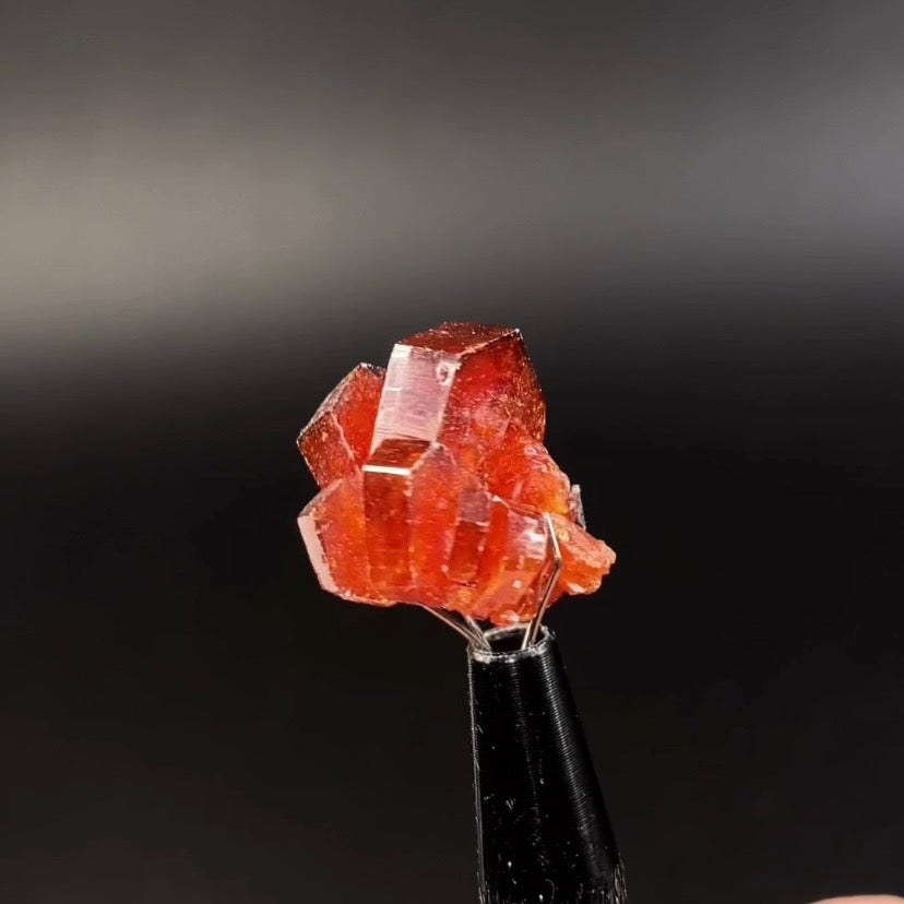 Gemmy Vanadinite Thumbnail Size Cluster