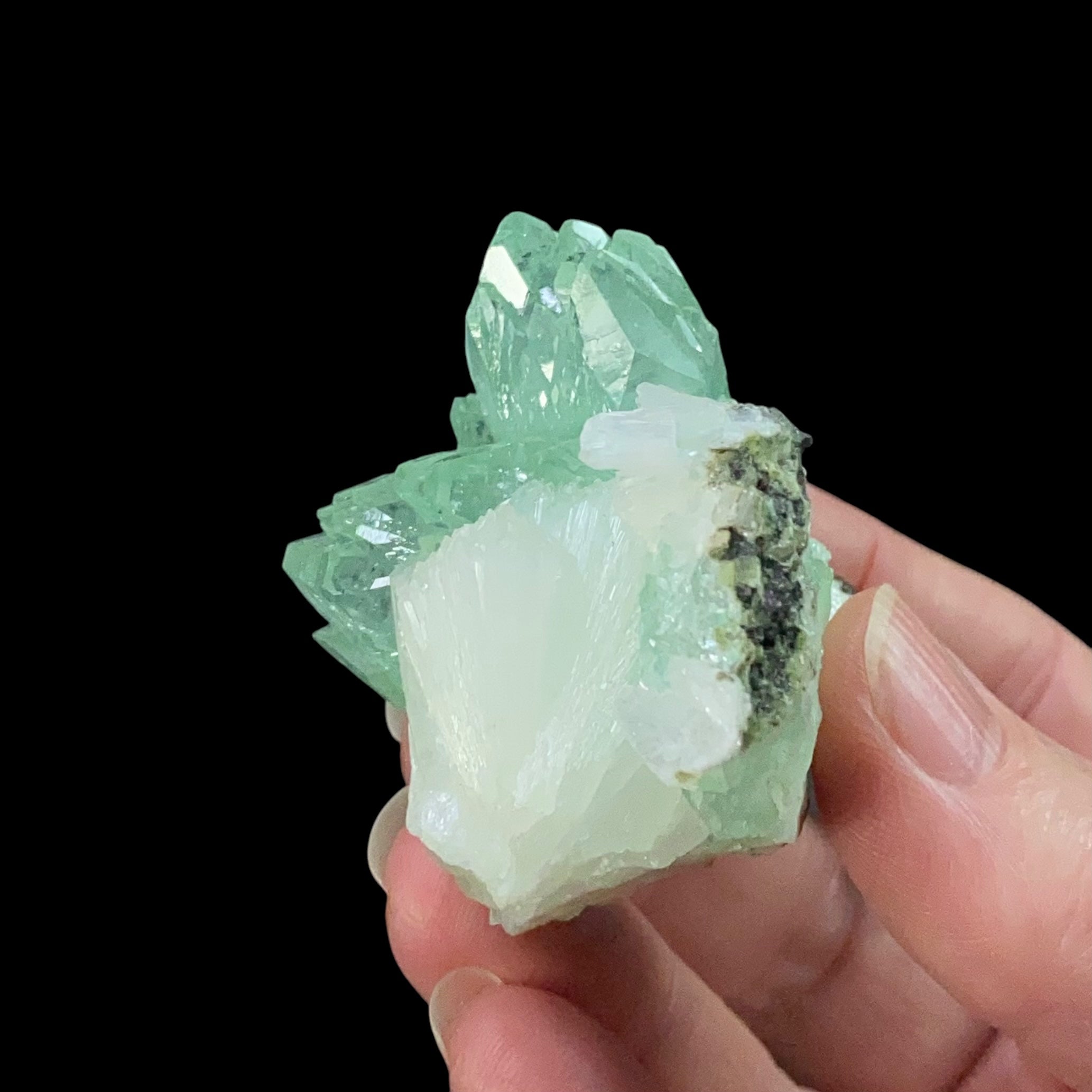 Green Apophyllite Crystal Cluster from Maharashtra, India