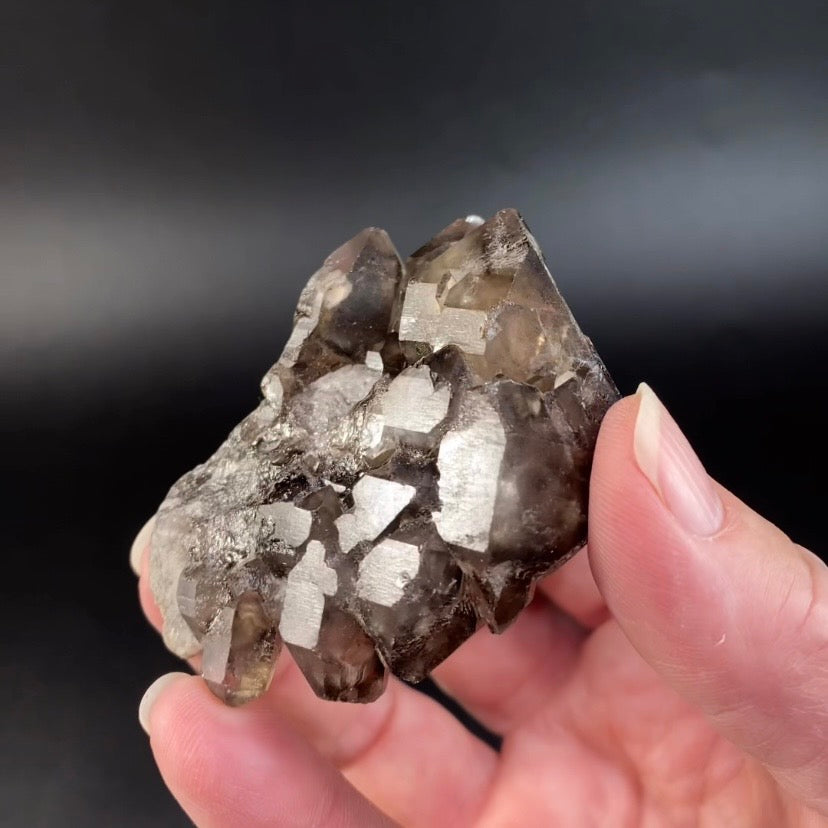 Smoky Elestial Quartz from Minas Gerais, Brazil