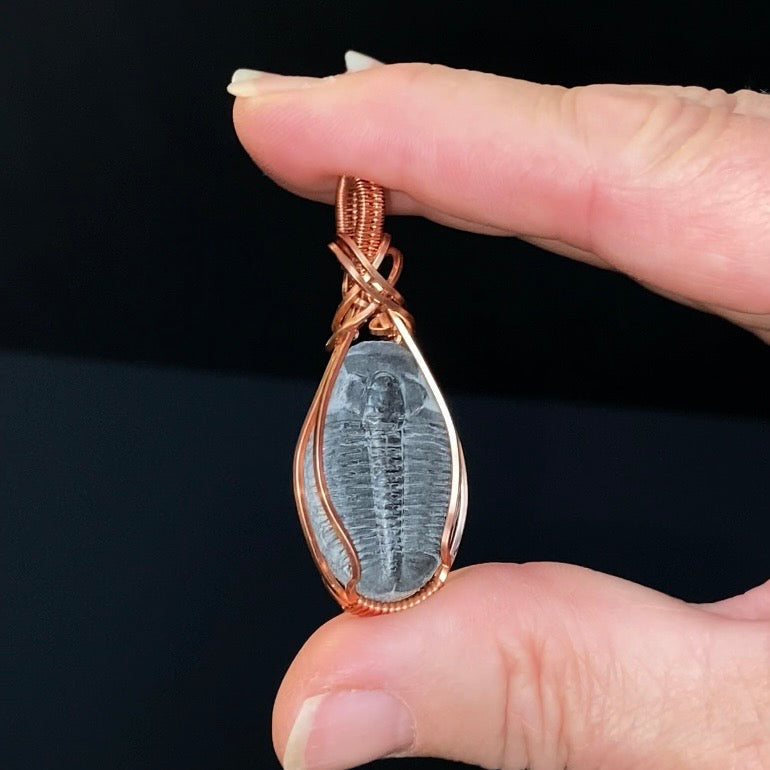 Fossilized Trilobite & Copper Wire Wrapped Handmade Pendant