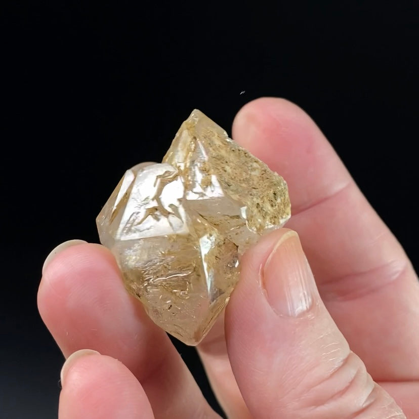 Elestial Fenster Quartz Crystal with Multiple Terminations