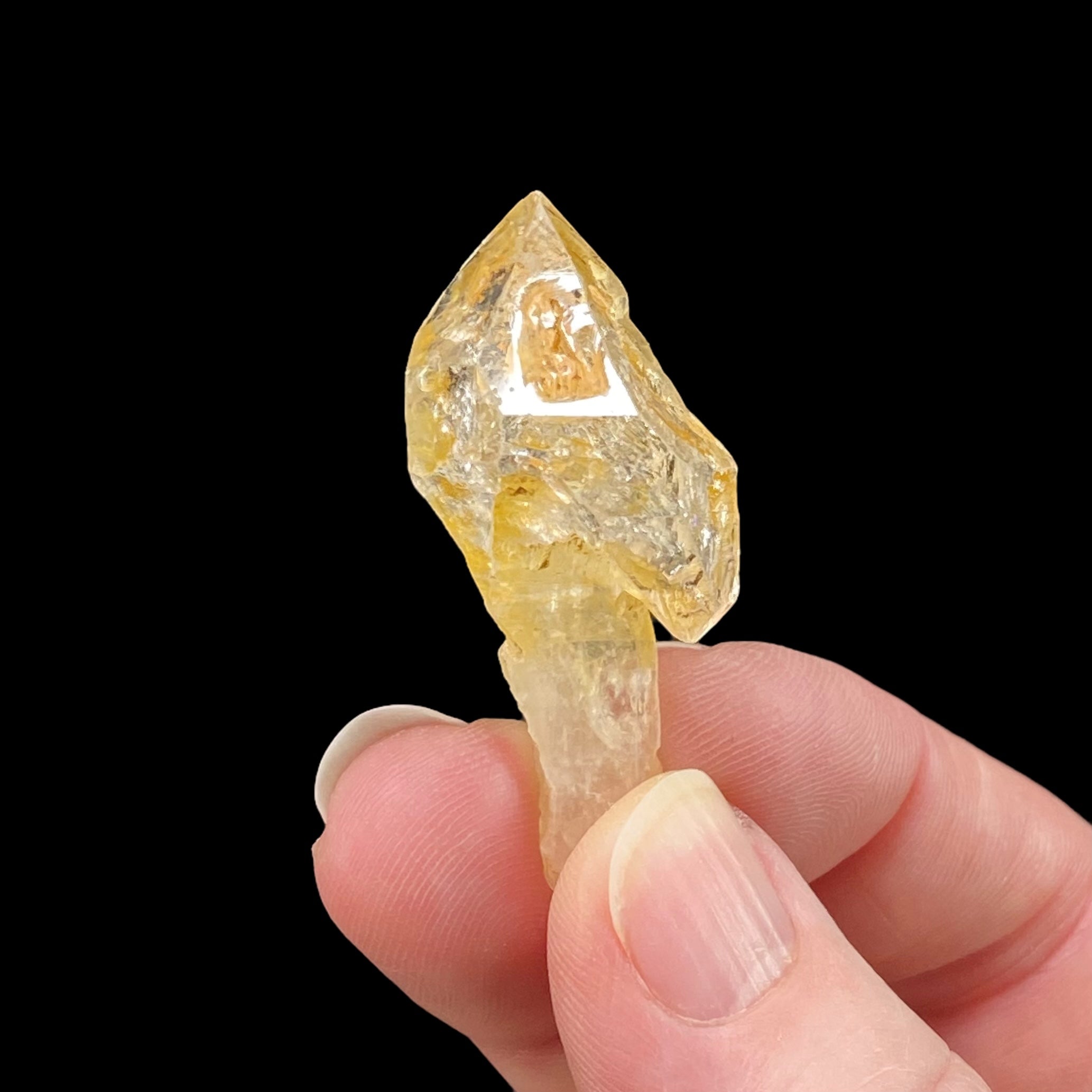 Golden Fenster Scepter Quartz Crystal with Double Terminations