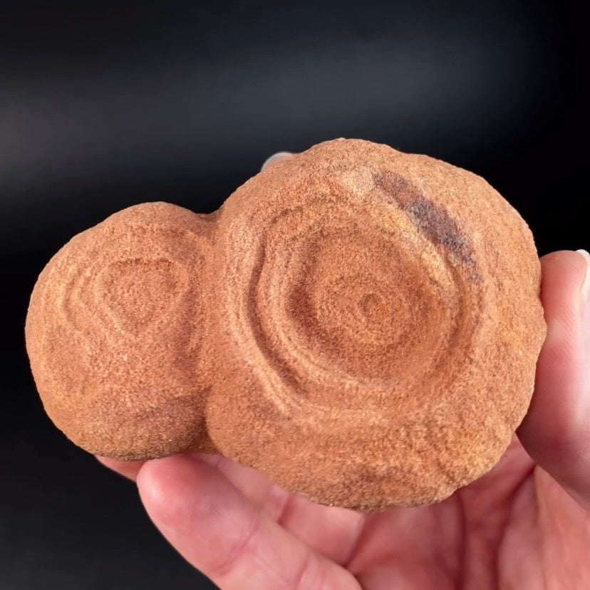 Desert Onion Pseudo Stromatalite from Morocco