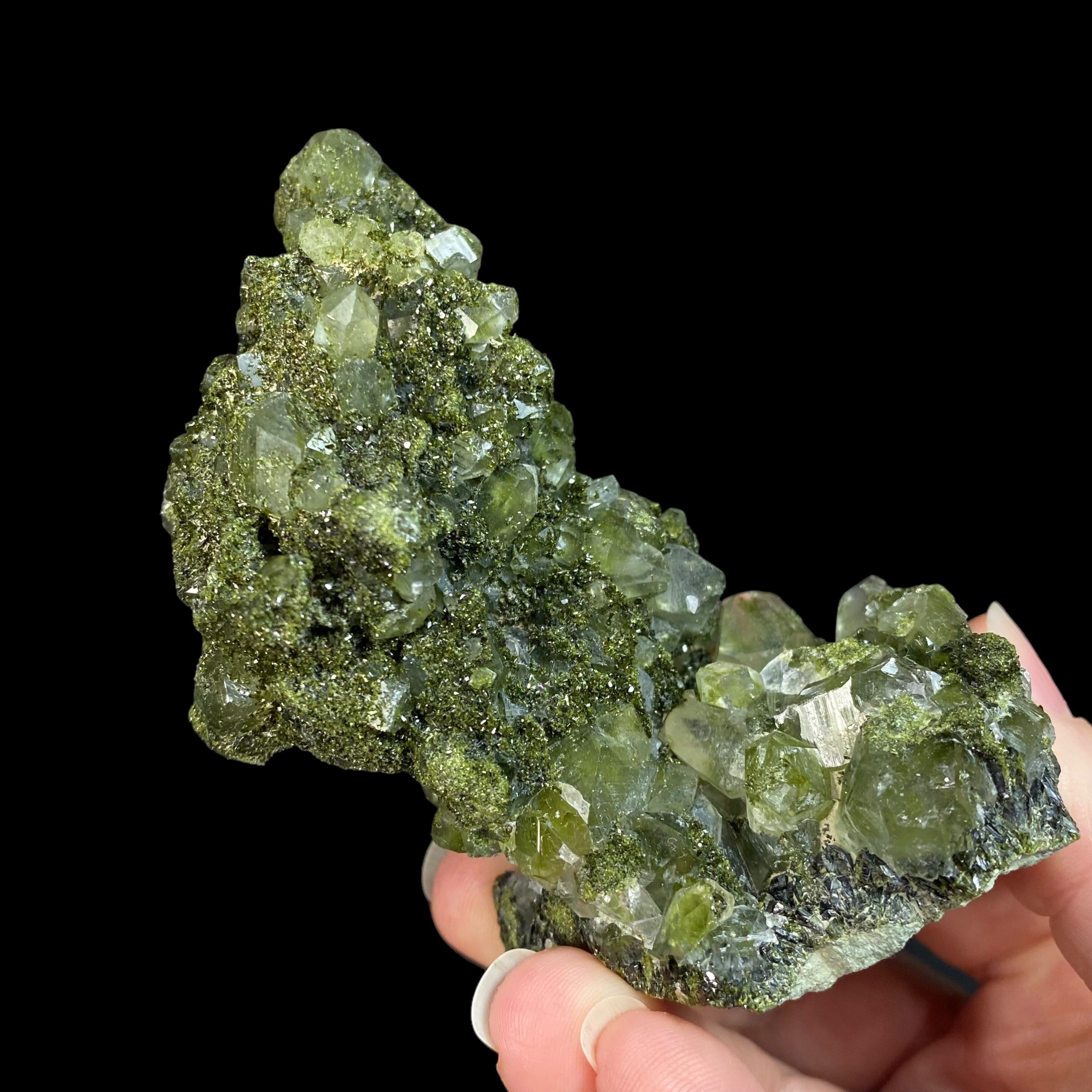 Forest Epidote and Quartz Cluster from Turkey