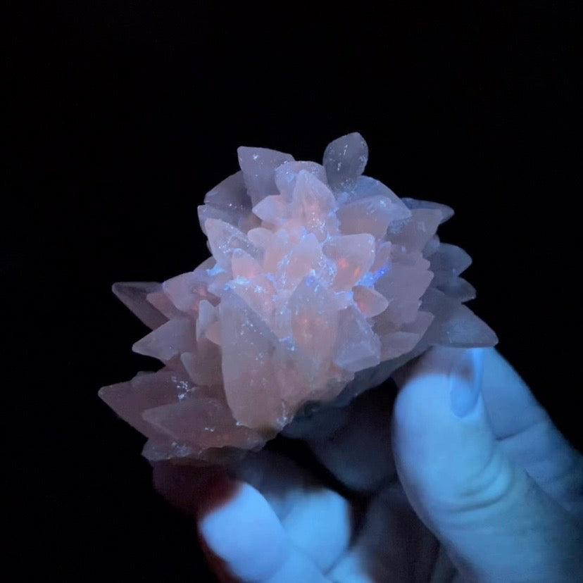 Scalenohedral DogTooth Calcite on Blue Purple Fluorite Matrix, UV Reactive, Fluorescent