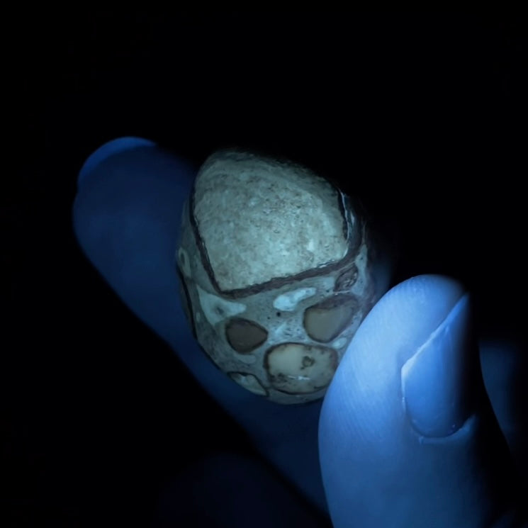 Leopard Skin Rhyolite Jasper Tumble Stone - Phosphorescent Glow with UV