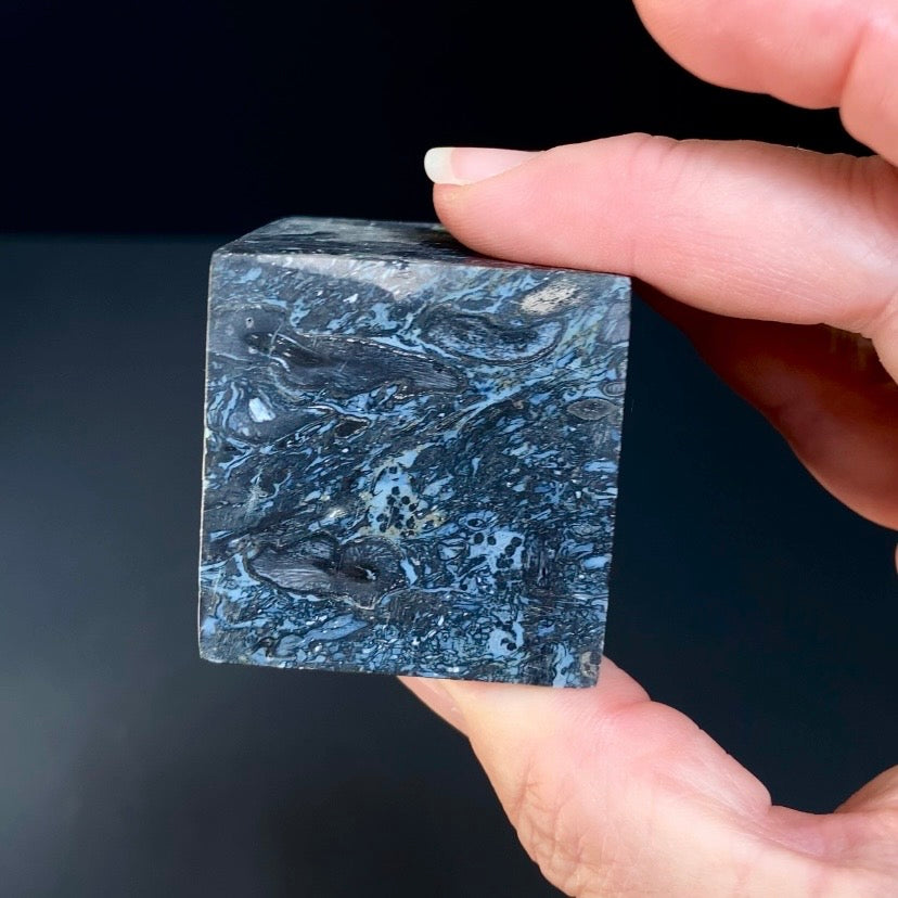 Fossilized Palm Root Ball Polished Cube from Sumatra, Indonesia