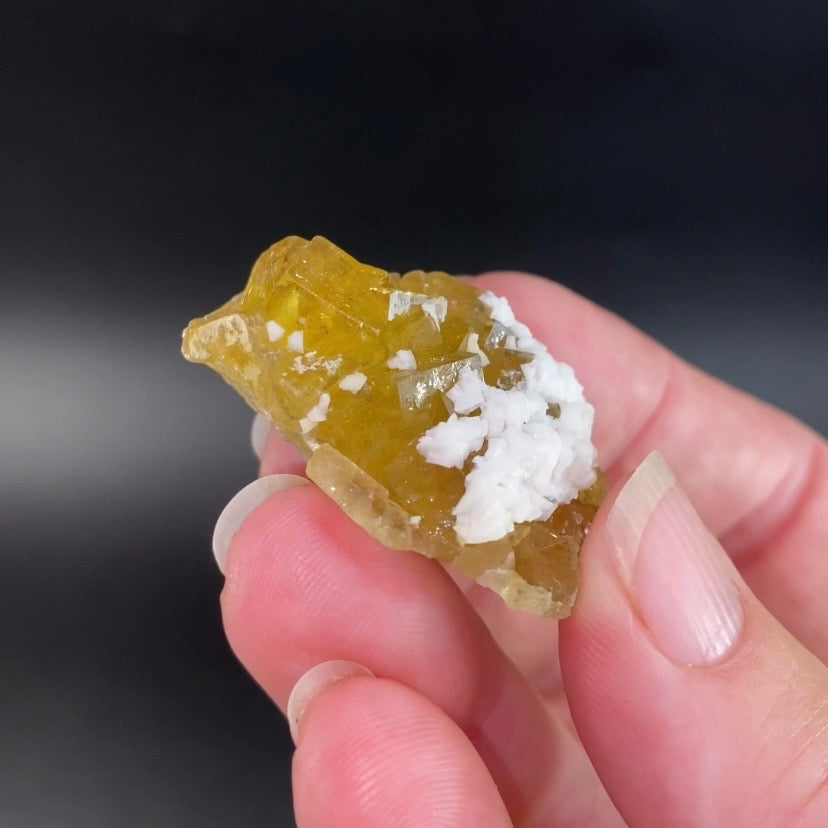 Yellow Moscona Cubic Fluorite Cluster from Asturias Spain - Phosphorescent