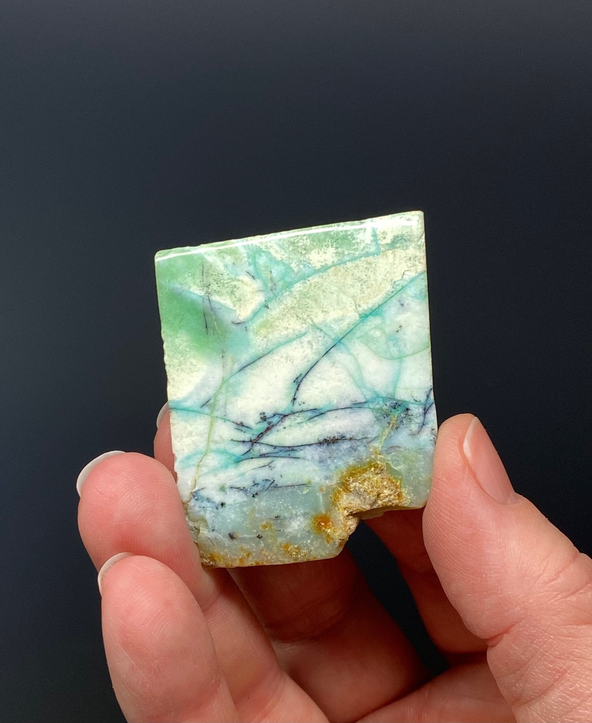 Blue-Green Opalized Petrified Wood Specimen