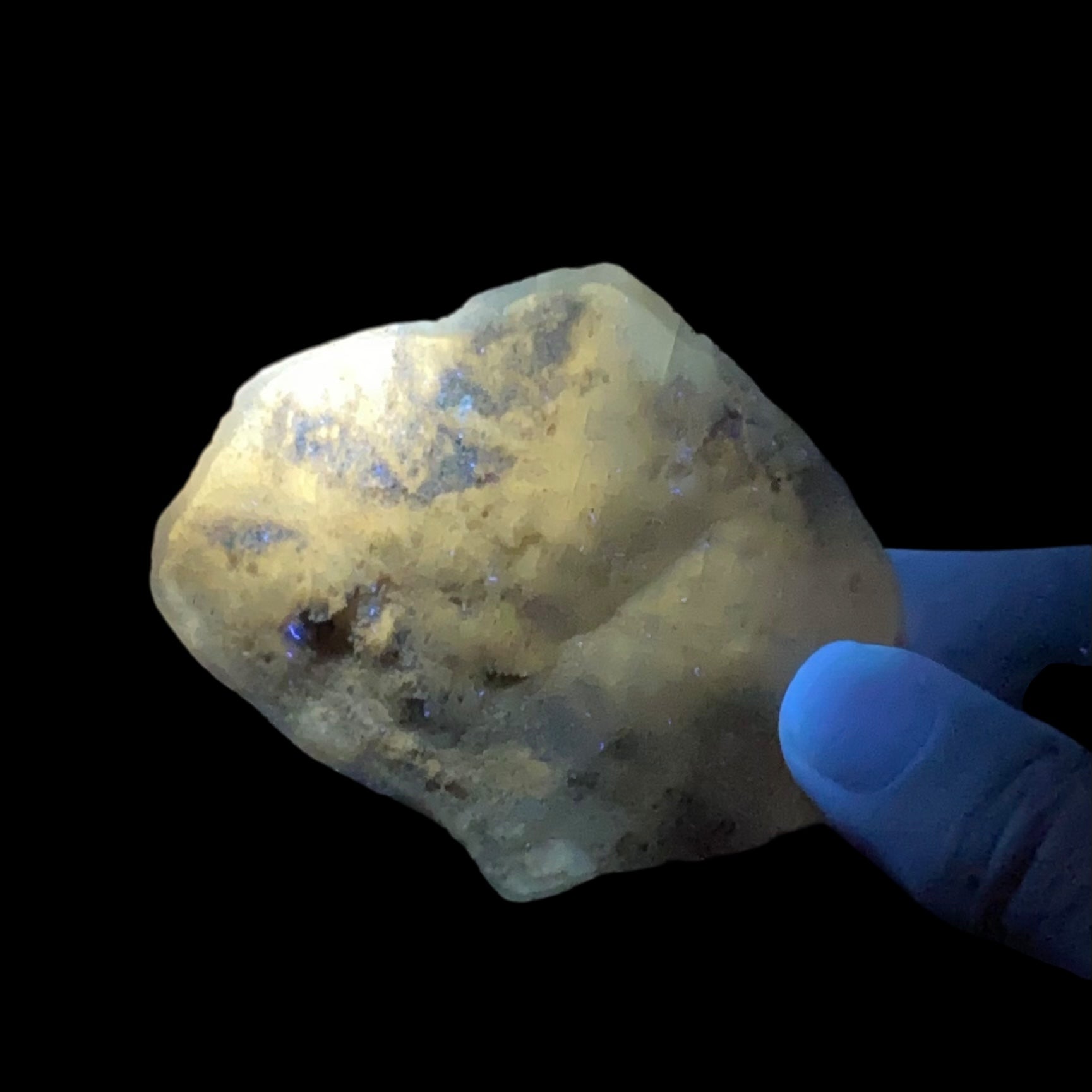Gypsum var. Selenite Desert Rose Sand Crystal Dollar, Fluorescent