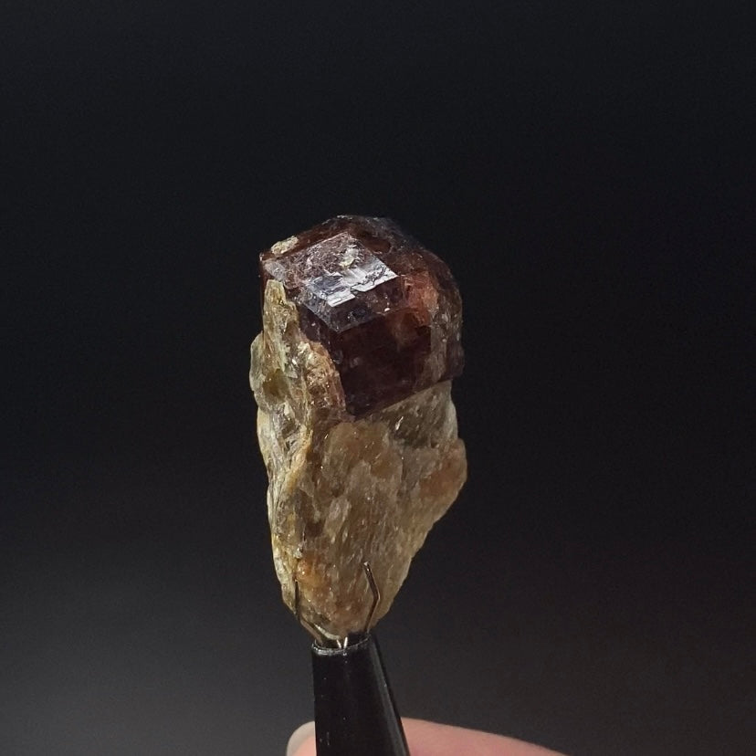 Garnet Crystal on Mica