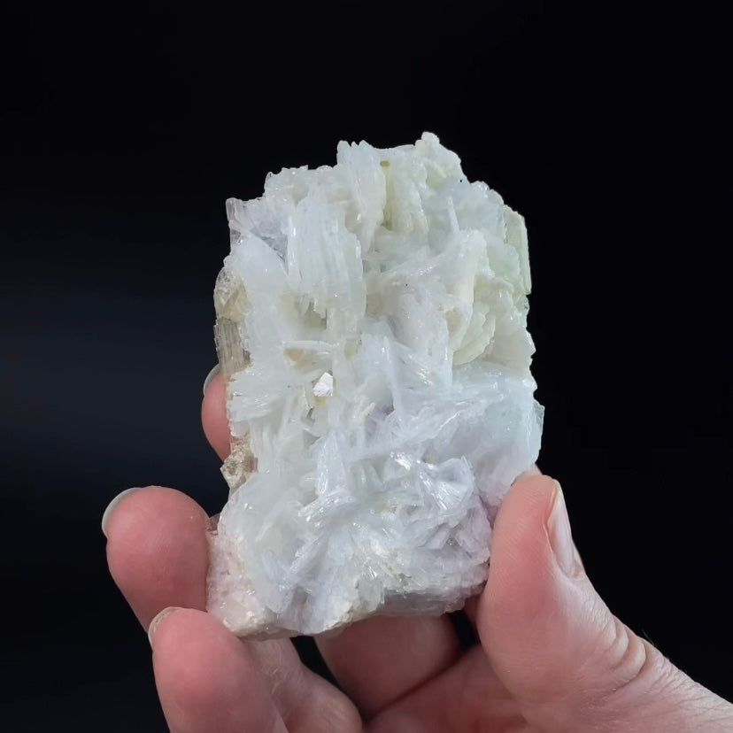 Lustrous Green and Pink Tourmaline Crystals on Lepidolite & Clevelandite Matrix