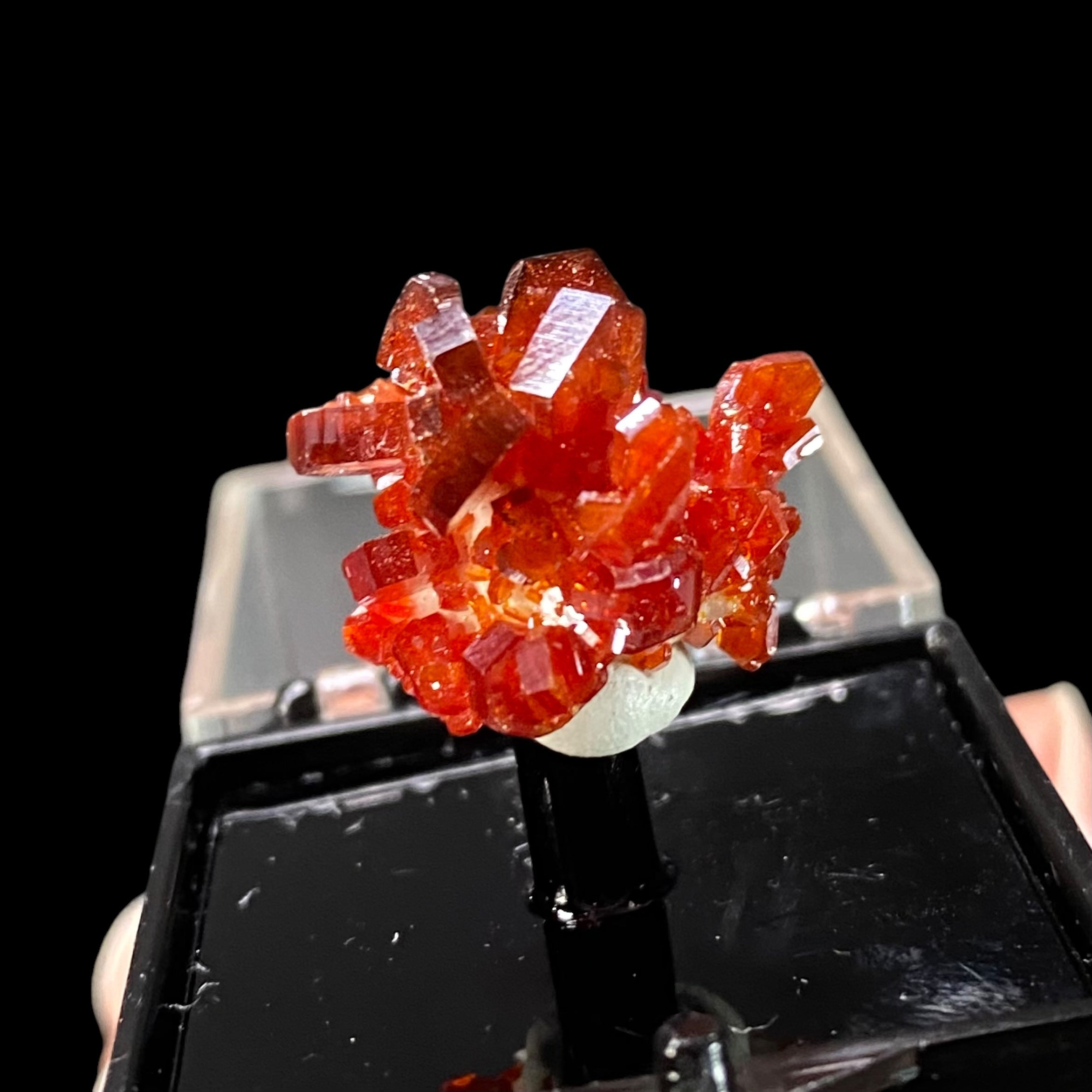 Gemmy Vanadinite Thumbnail Size Cluster in Perky Box