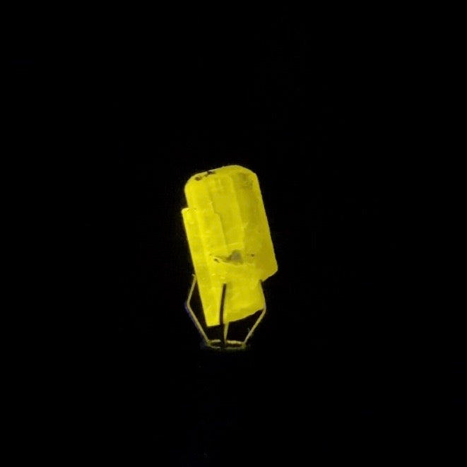 Terminated Pink Apatite Crystal with Muscovite Mica - Fluorescent Natural Crystal