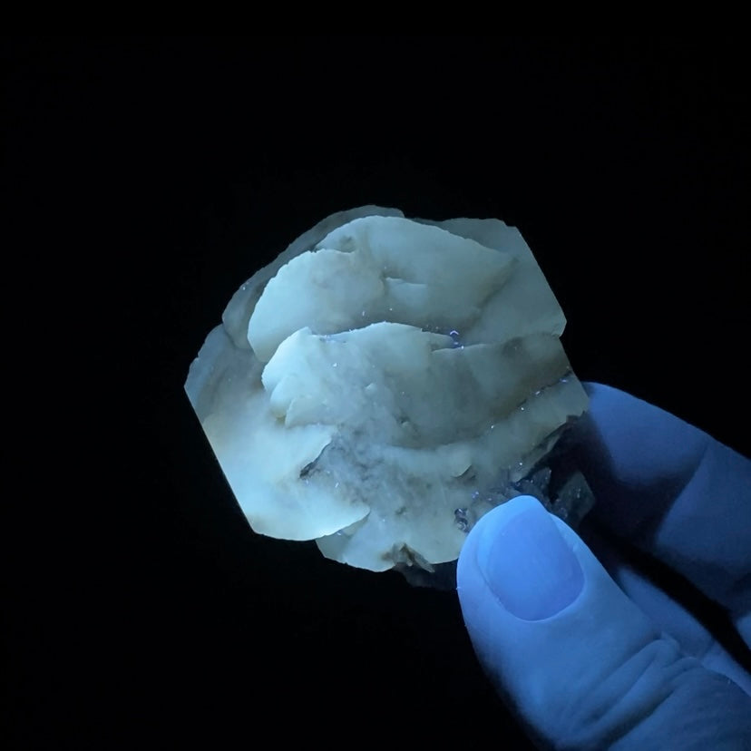 Gypsum var. Selenite Desert Rose Sand Crystal Dollar, Fluorescent & Phosphorescent