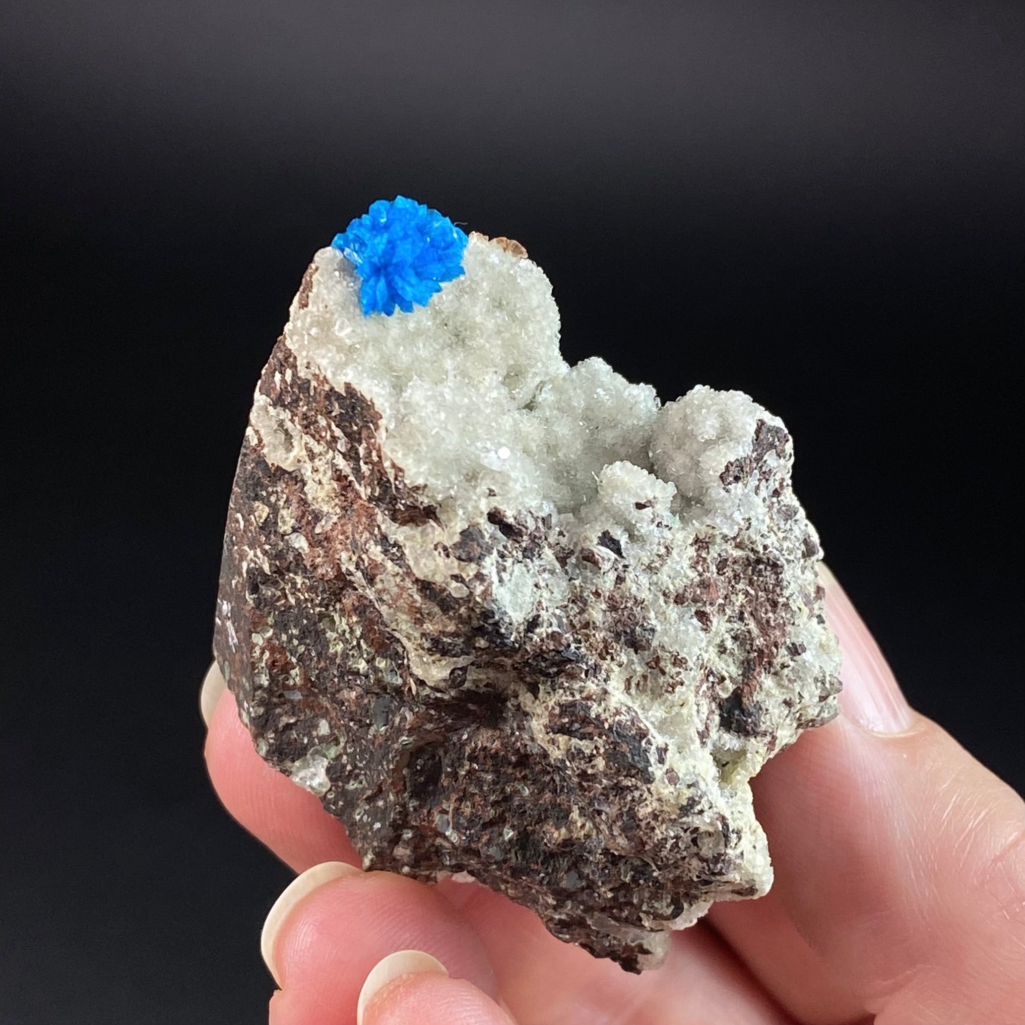 Vibrant Blue Cavansite Cluster on Druzy Stilbite & Basalt Matrix