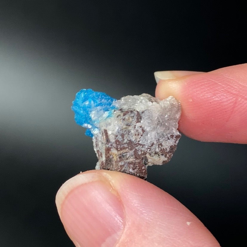 Vibrant Blue Cavansite Cluster on Druzy Stilbite & Basalt Matrix