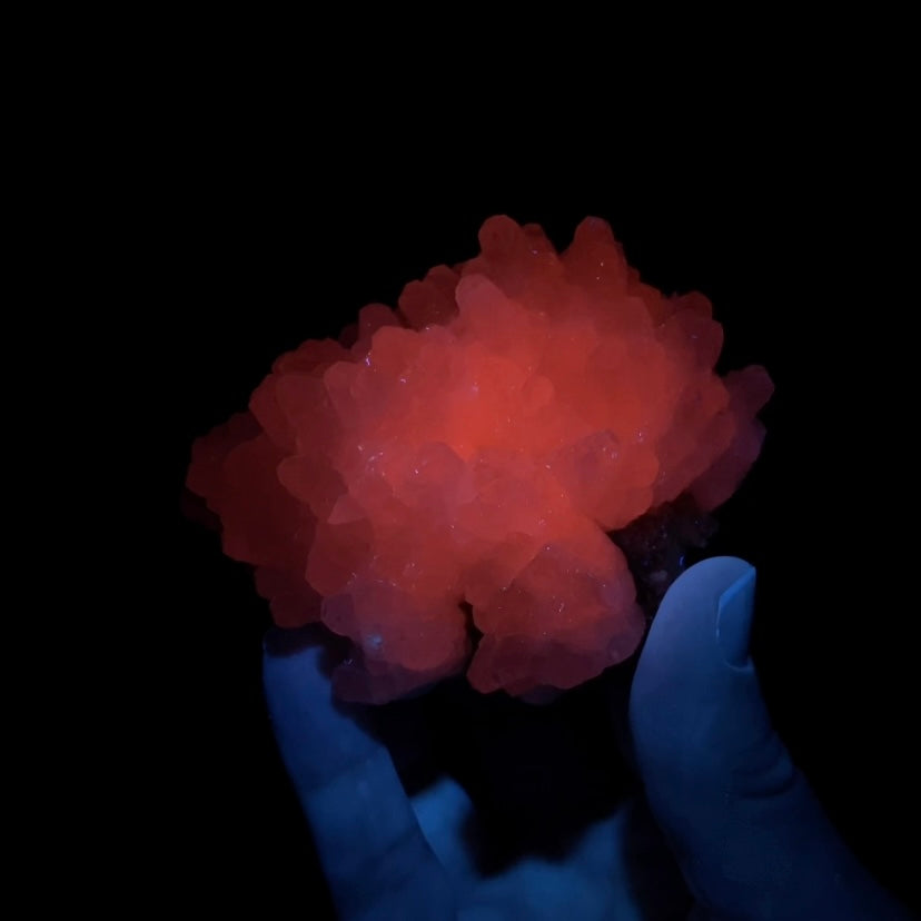 Fluorescent Calcite Cluster from Trepça Mines, Kosovo