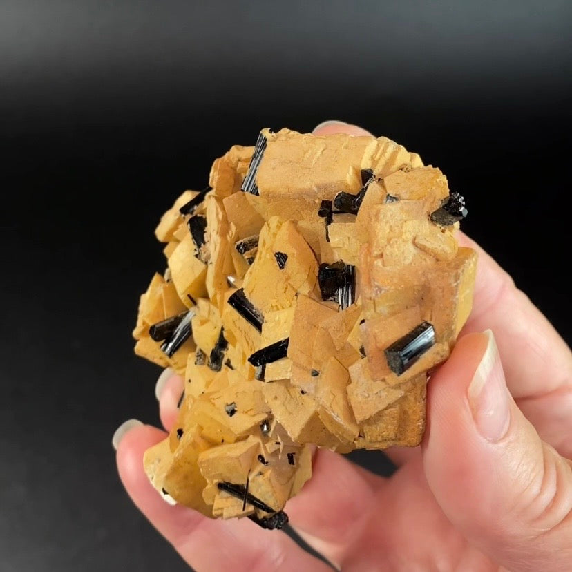 Black Tourmaline Schorl Crystals on Feldspar Matrix