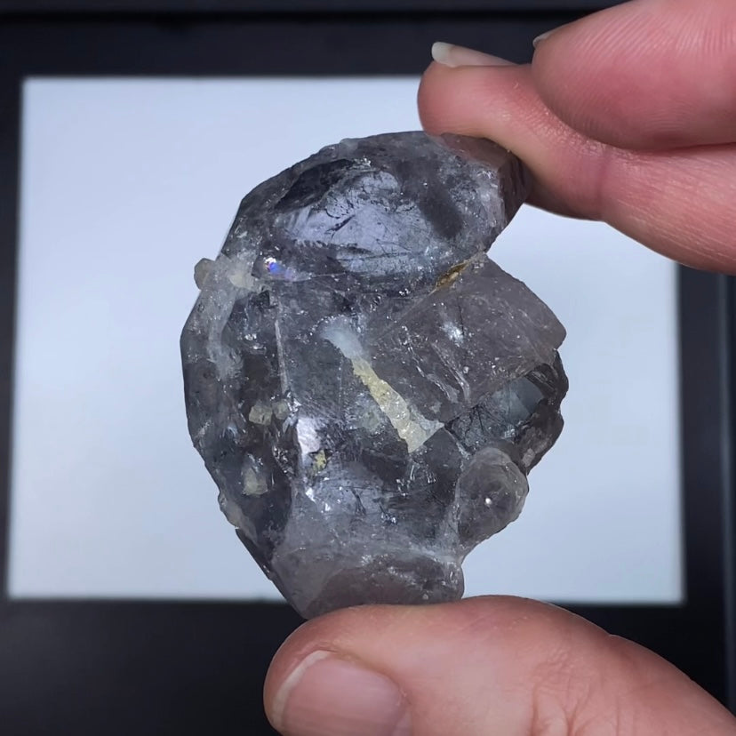 Lavender Gray Apatite Crystal with Actinolite Inclusions