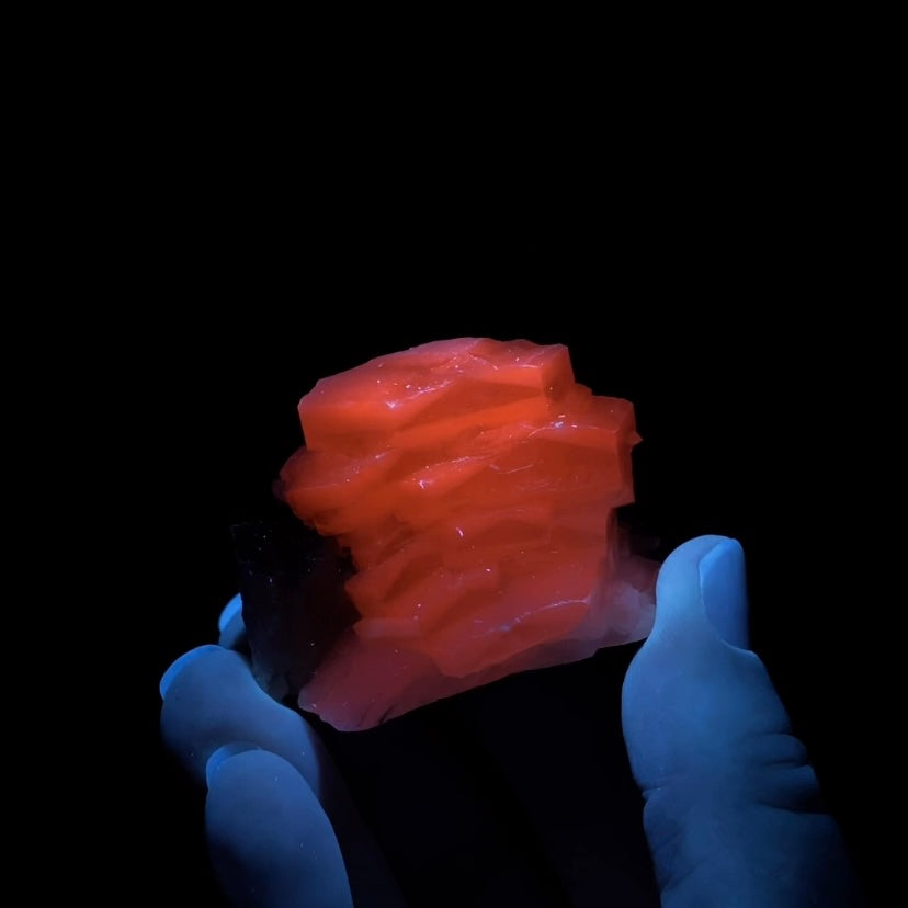 Fluorescent Hexagonal Sandwich Calcite Crystals with Hedenbergite on Matrix