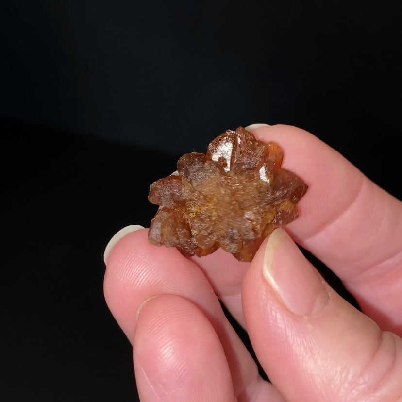 Floater Citrine Colored Honey Brown Quartz Flower Cluster - Midelt, Morocco