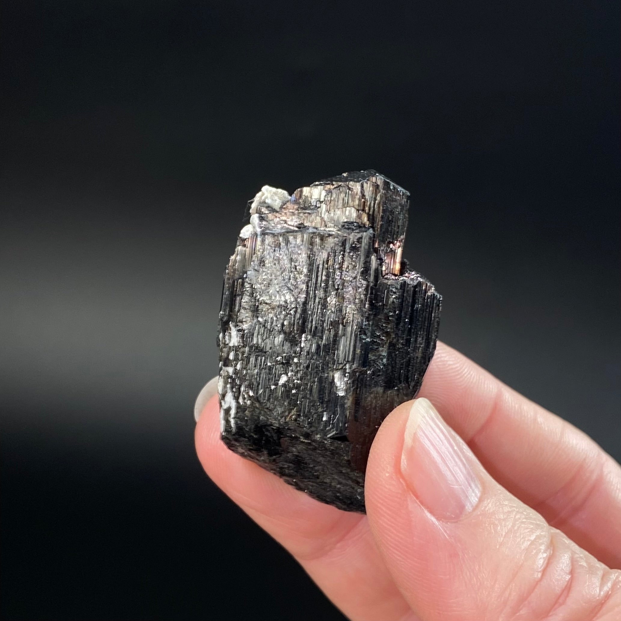 Etched Black Tourmaline Schorl with Mica