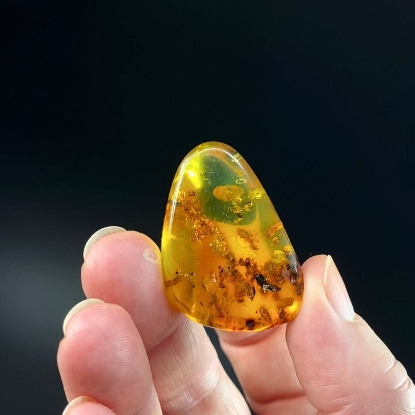 Polished Amber with Inclusions from Cimitarra, Colombia