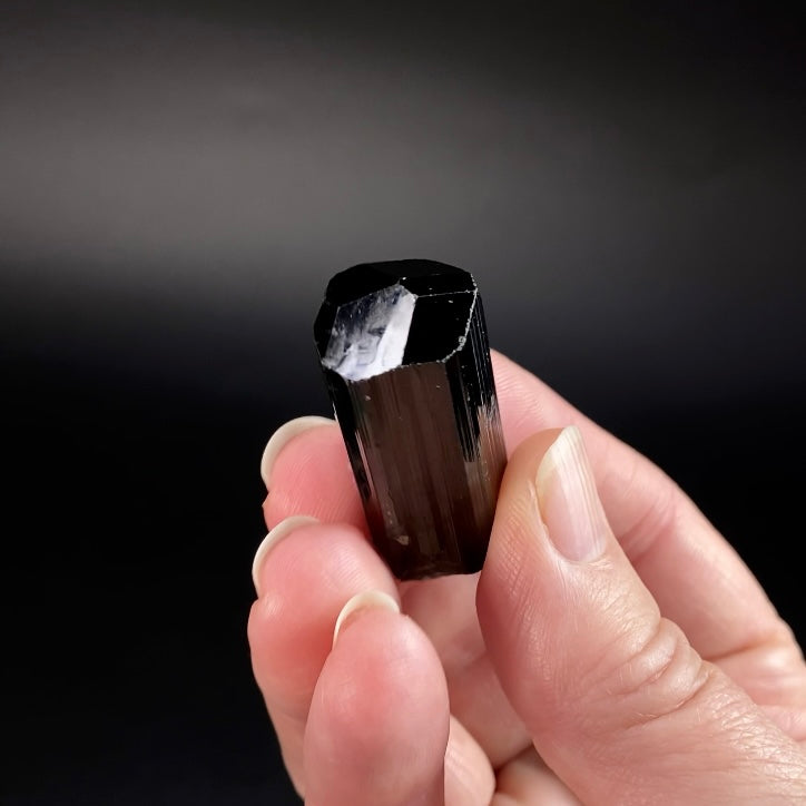High Grade Black Tourmaline Schorl Crystal with Termination