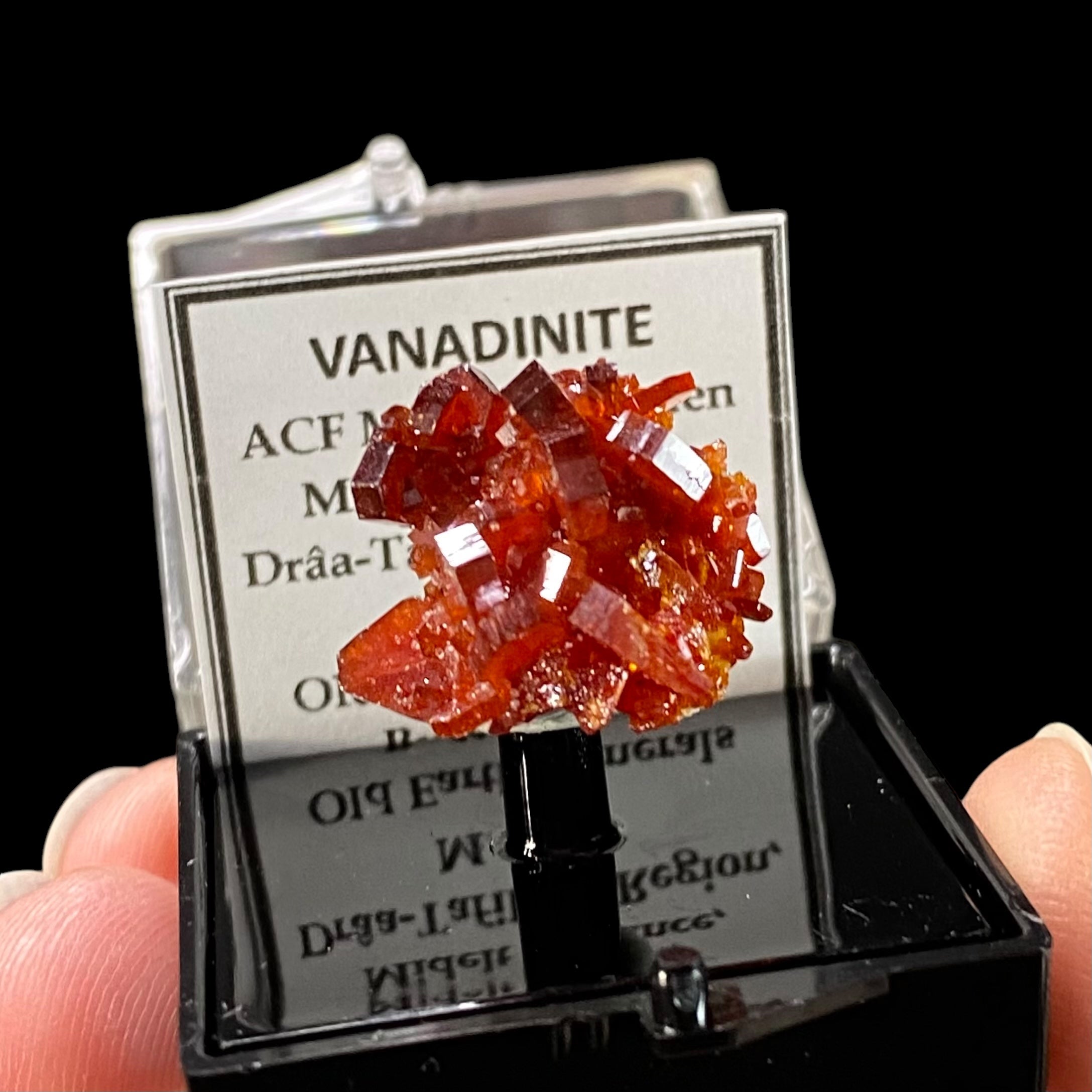 Gemmy Vanadinite Thumbnail Size Cluster in Perky Box