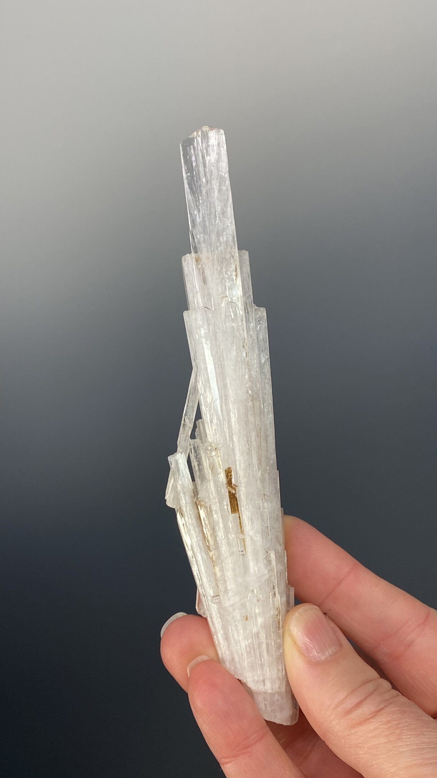 Clear Scolecite Crystal Cluster / Spray