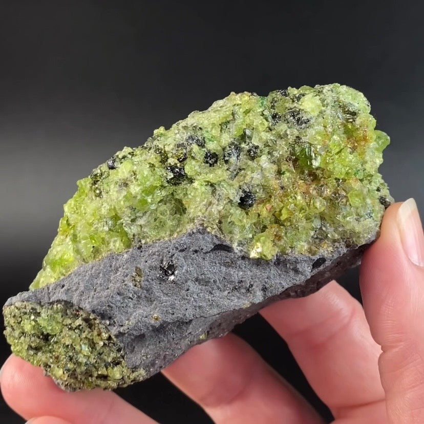 Peridot Crystals on Basalt Matrix from San Carlos, Globe, Arizona