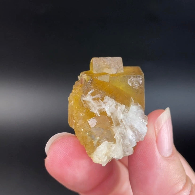 Yellow Moscona Cubic Fluorite Cluster from Asturias Spain - Phosphorescent
