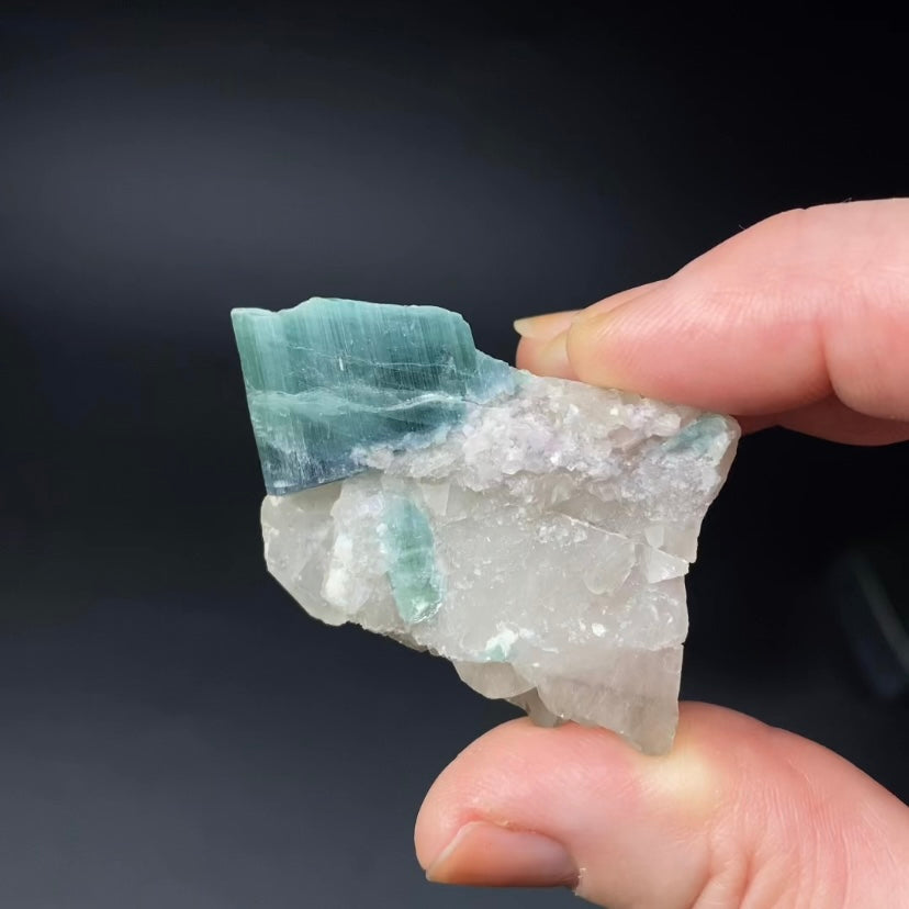 Bicolor Blue & Green Tourmaline on a Light Smoky Quartz Crystal