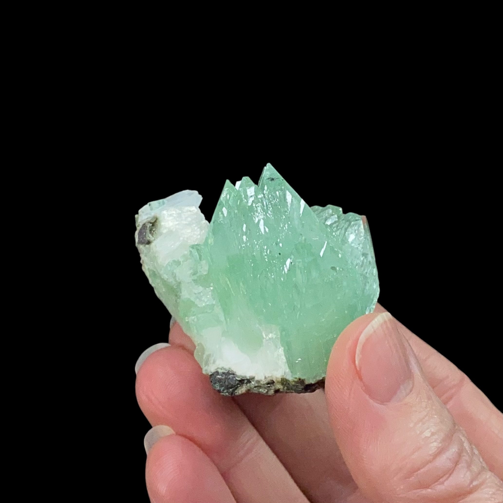 Green Apophyllite Crystal Cluster from Maharashtra, India