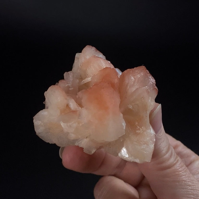 Peach and Red Hematite Stilbite Cluster, Maharashtra, India